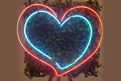 X2 Hearts Neon Sign