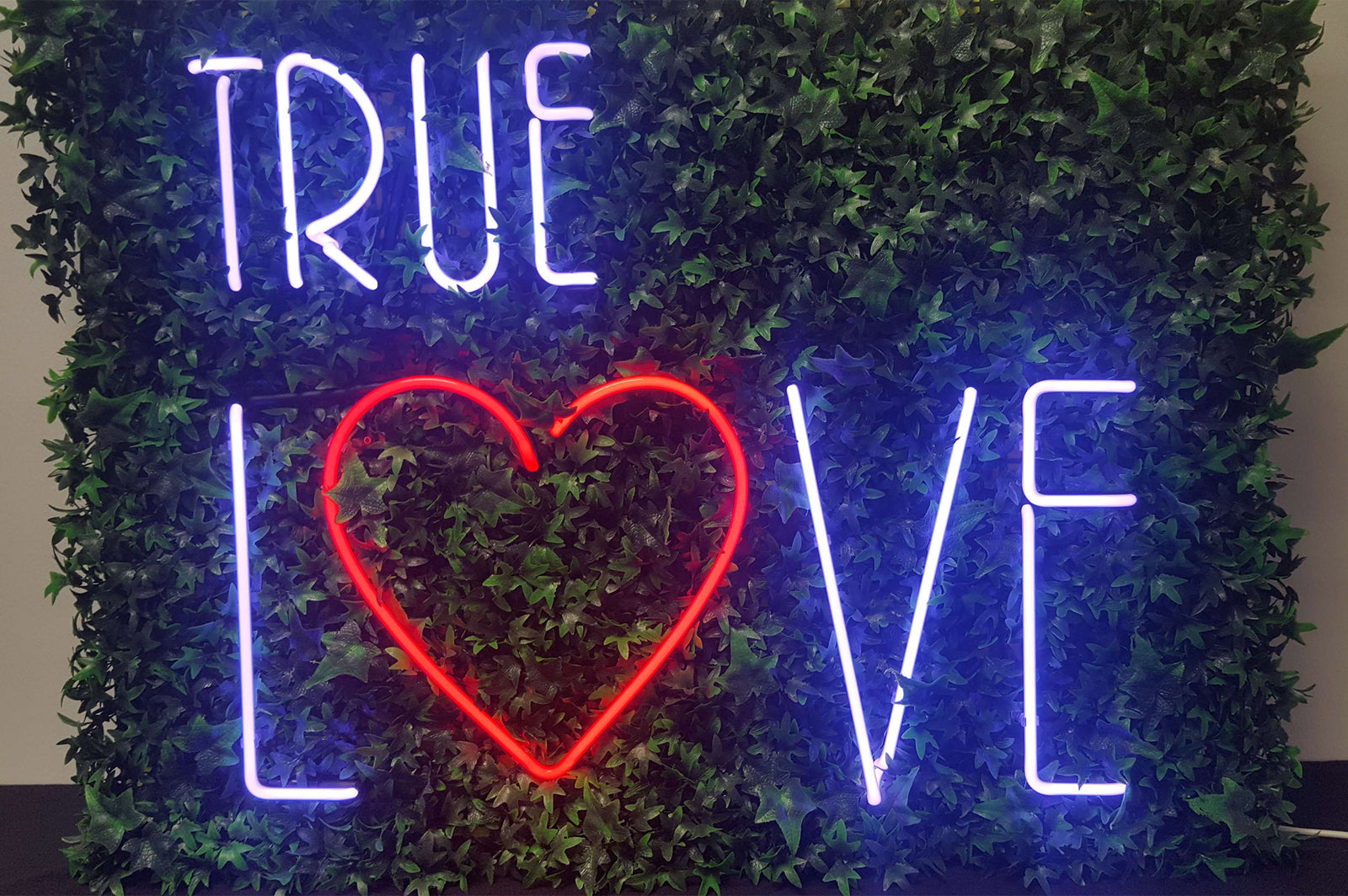 Why Neon Still Grabs Our Attention