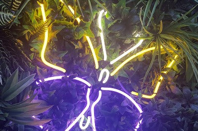 How to Choose the Right Backing for Your Neon Sign