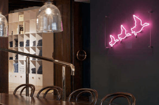 How Neon Can Transform a Space