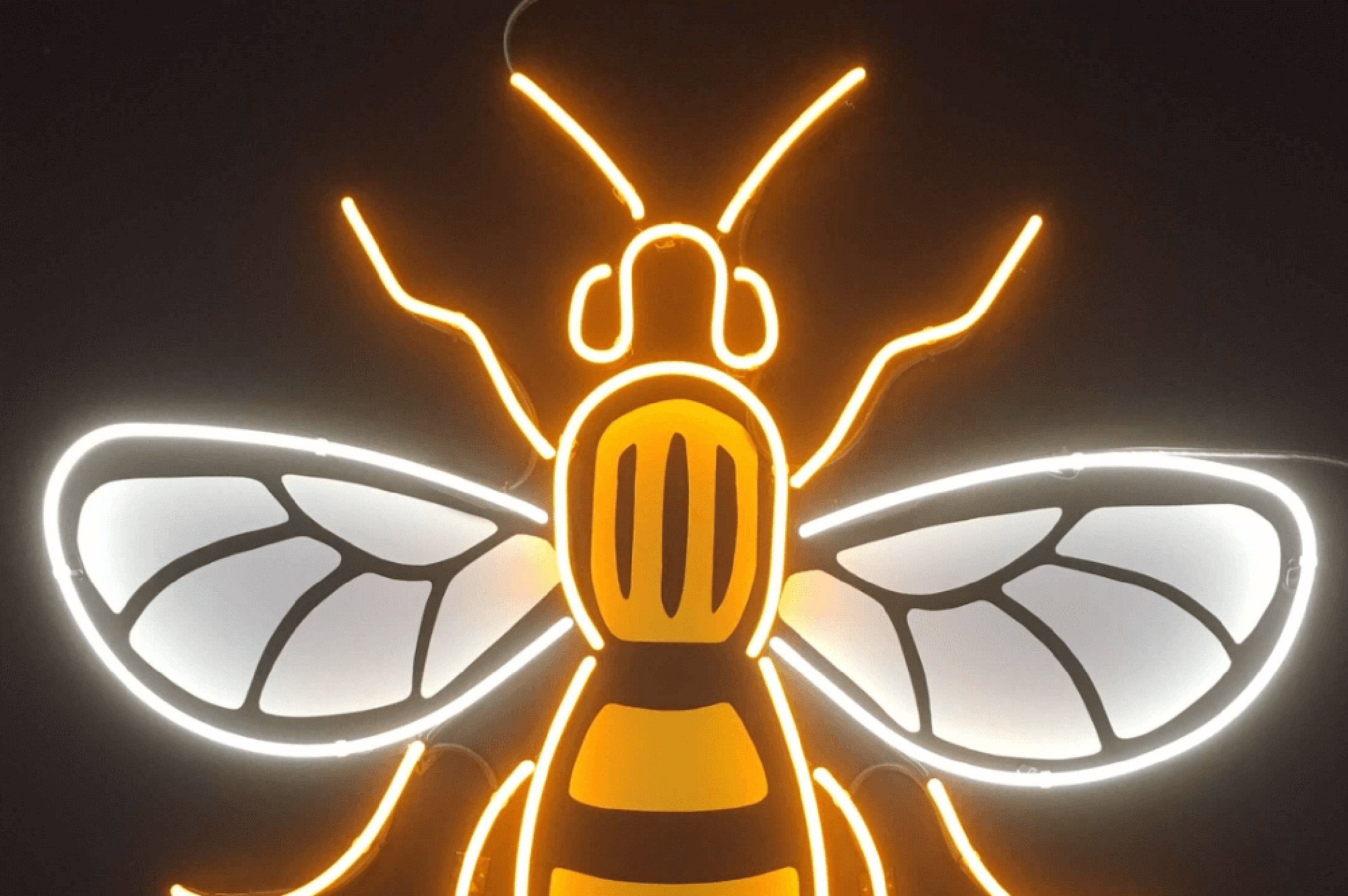 A look back at the best Neon Creations of 2017