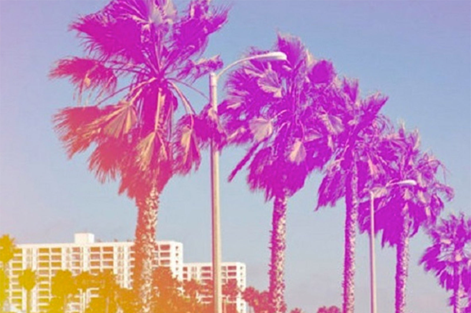 Neon Fashion for the Summer Daze