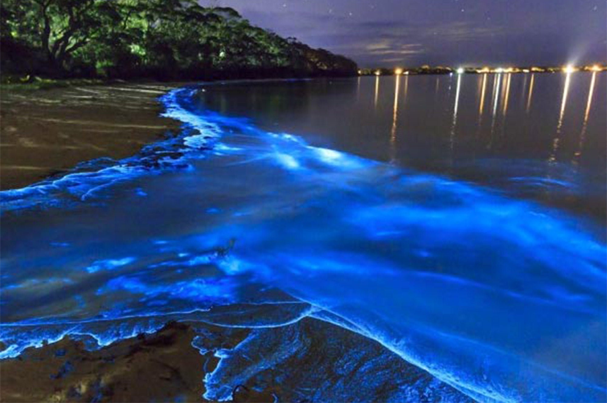Natural Neon