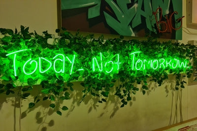 Improve Your Workspace with Neon