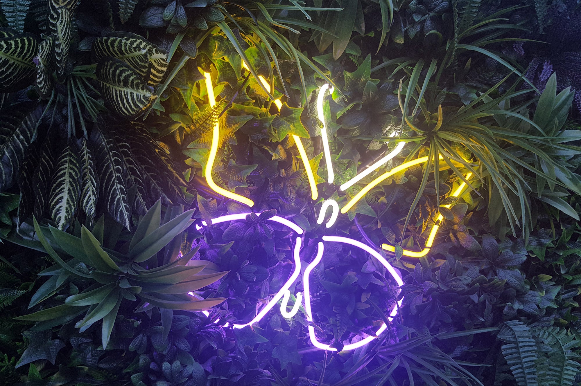 Butterfly' multi-coloured neon sign. Real glass neon fitted directly onto artificial foliage.