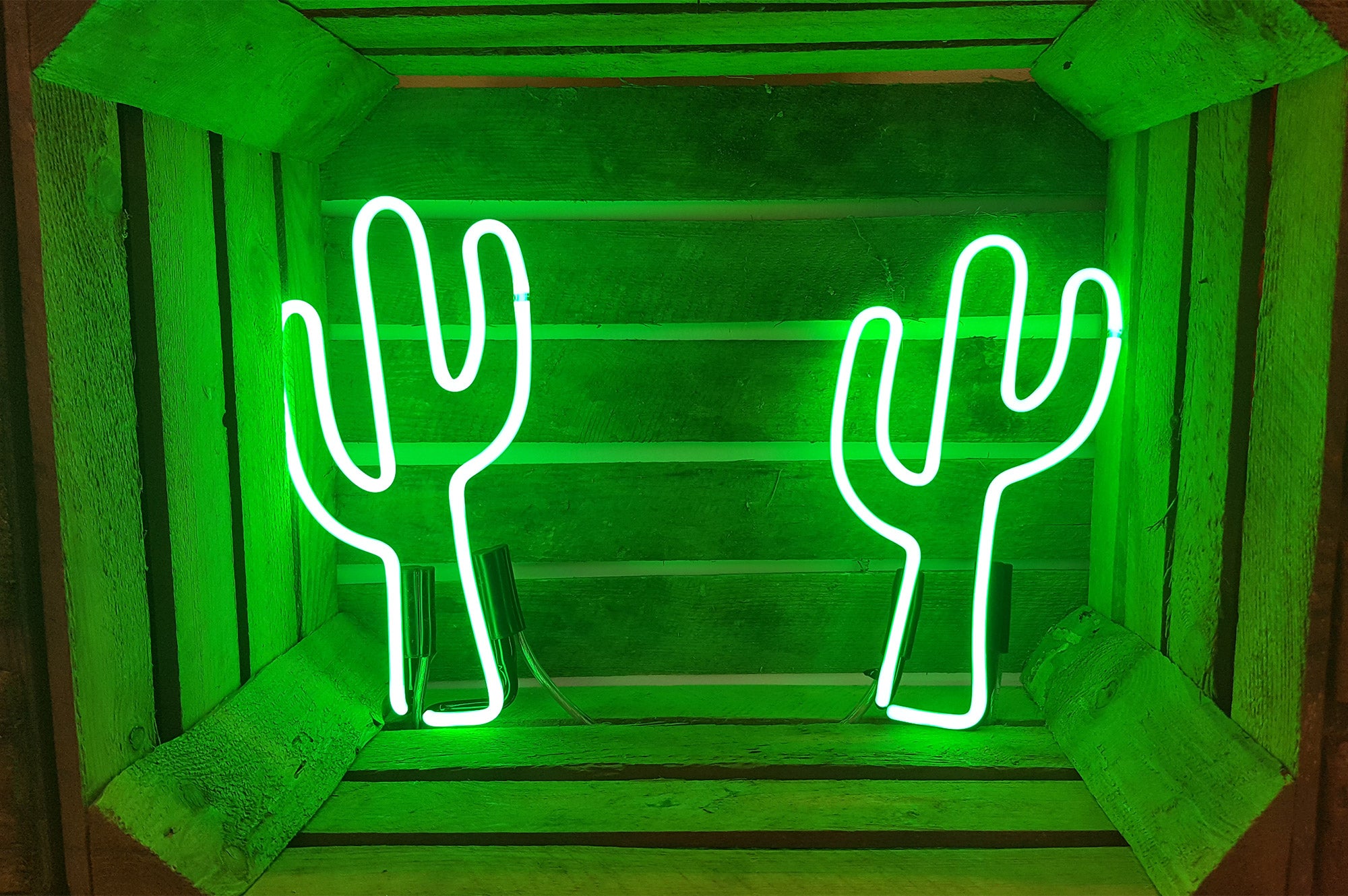 Cactus' green neon light. Real glass neon fitted inside wooden crate.