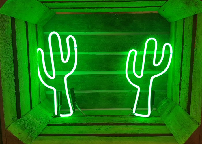 Cactus' green neon light. Real glass neon fitted inside wooden crate.