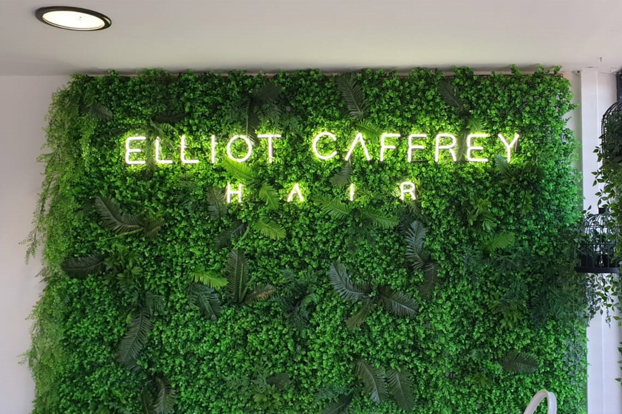 ELLIOT CAFFREY HAIR' white neon sign. Real glass neon fitted directly onto artificial foliage.