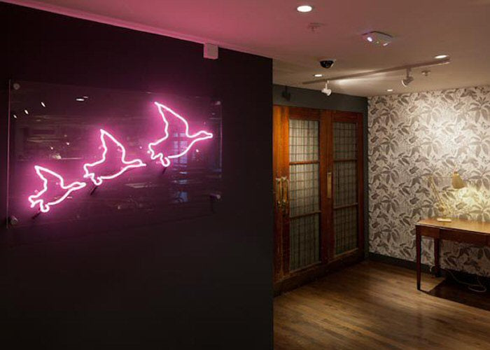 Neon Signs We Have Made