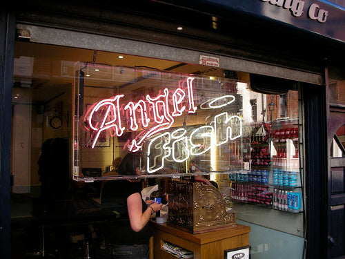Neon Signs We Have Made