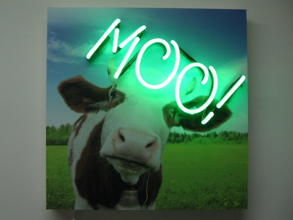 Moo!' green neon sign. Real glass neon fitted onto white acrylic case with printed face.