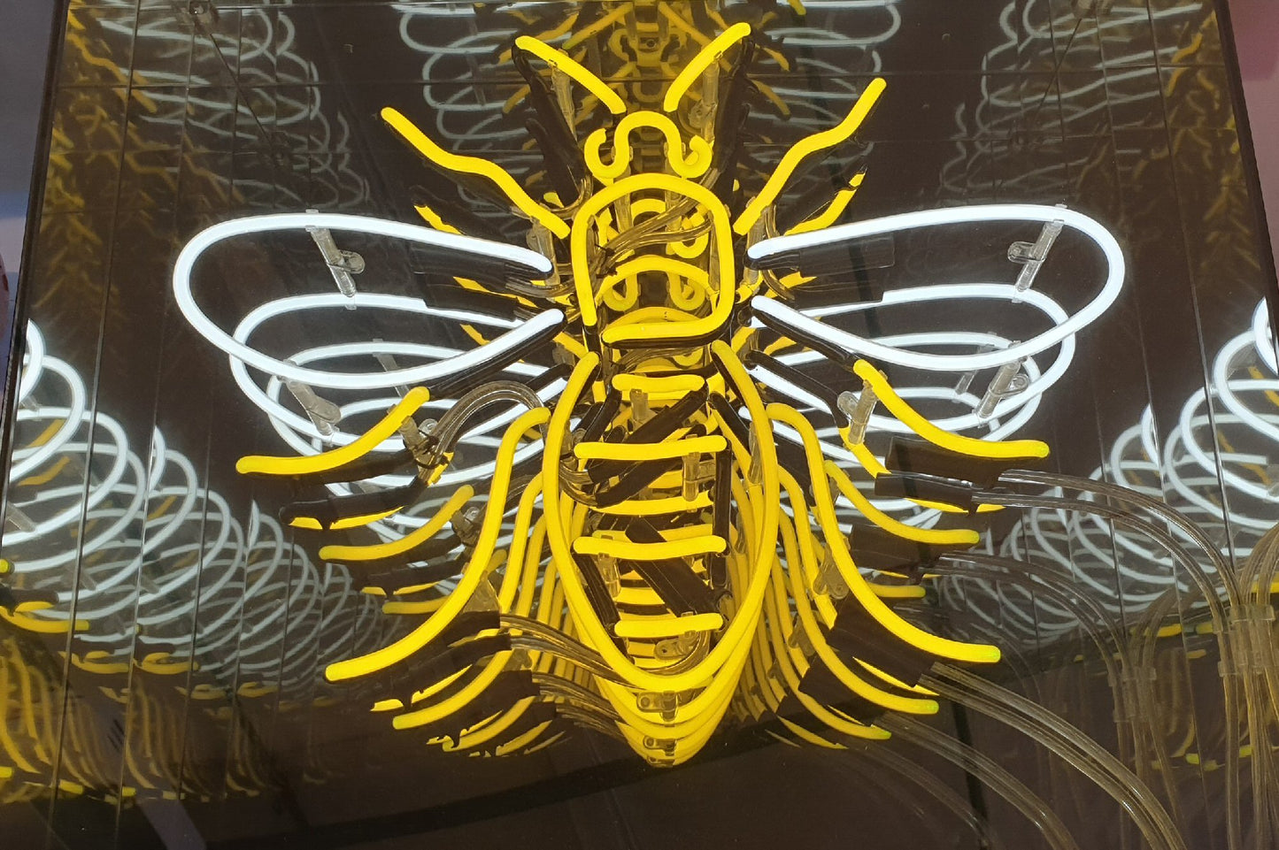 Manchester Bee Infinity Box Neon Sign