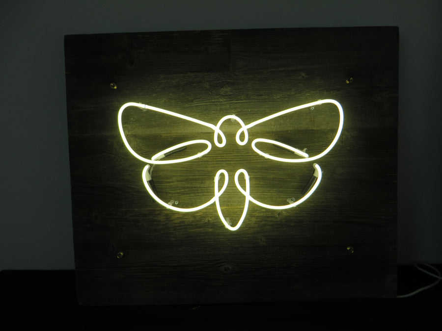 Neon Signs We Have Made