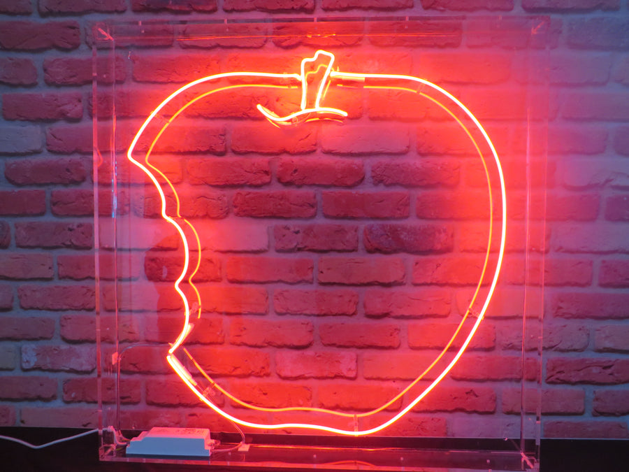 Neon Signs We Have Made