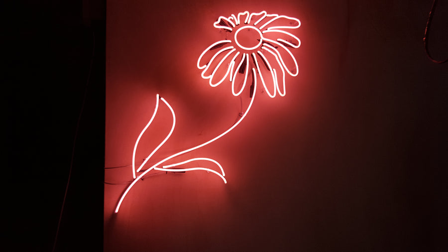 Neon Signs We Have Made