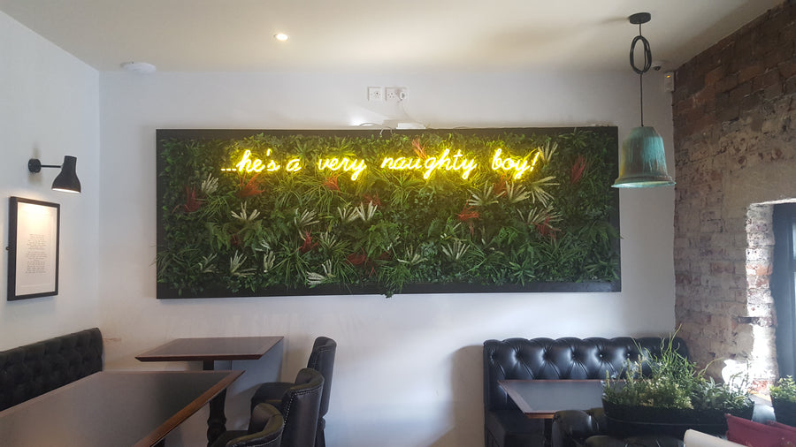 Neon Signs We Have Made