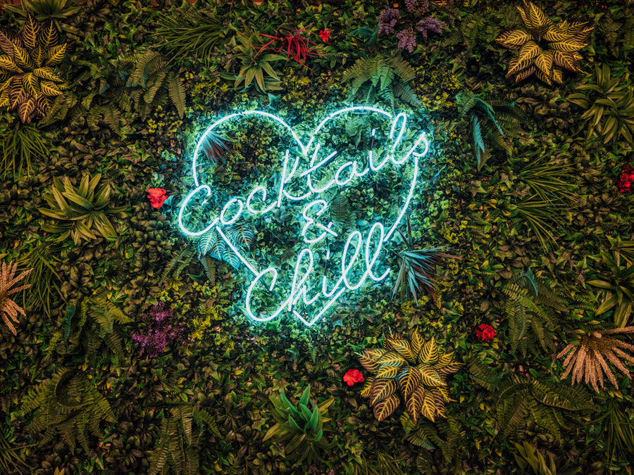 Neon Signs We Have Made