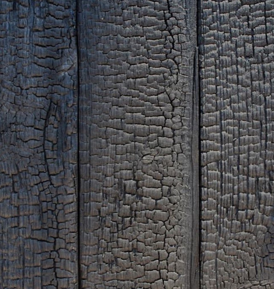 Charred Timber