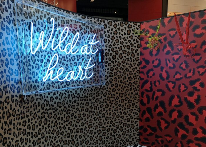 Wild at heart' blue neon sign. Real glass neon fitted inside clear acrylic case.