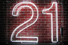 21 (Large) Neon Sign