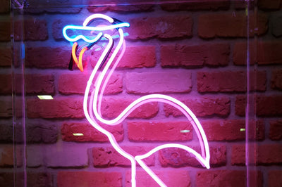 Flamingo with shades (for hire)