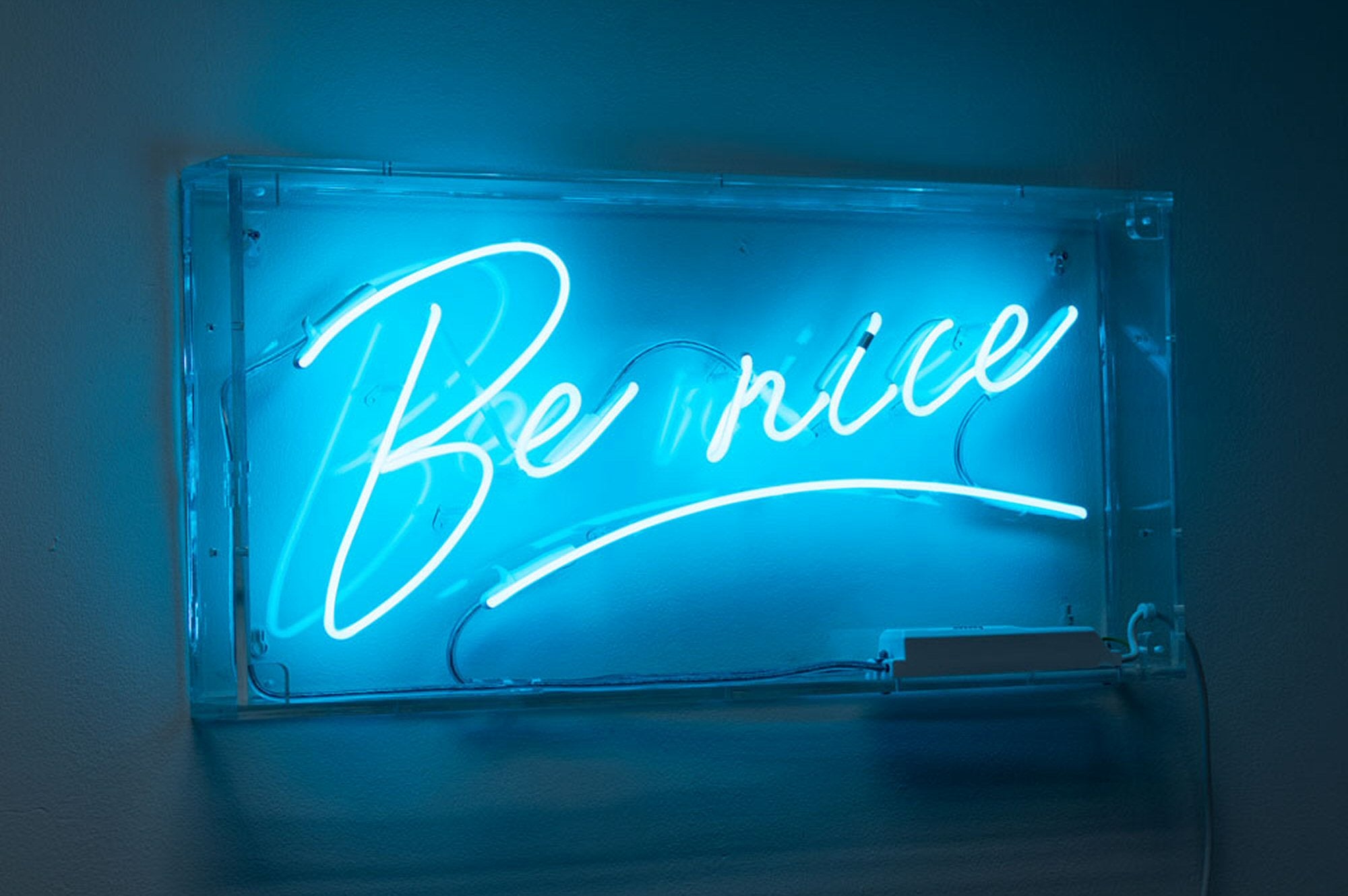 Be nice Neon Sign