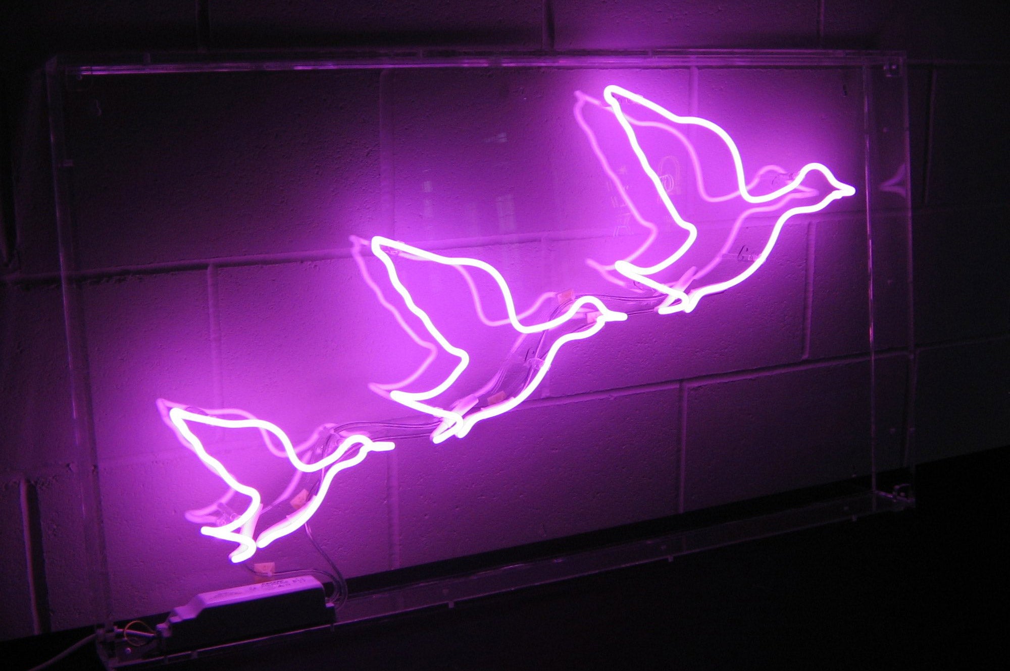Neon Fly Ride Sign Flying Ducks Neon Sign | Neon Creations