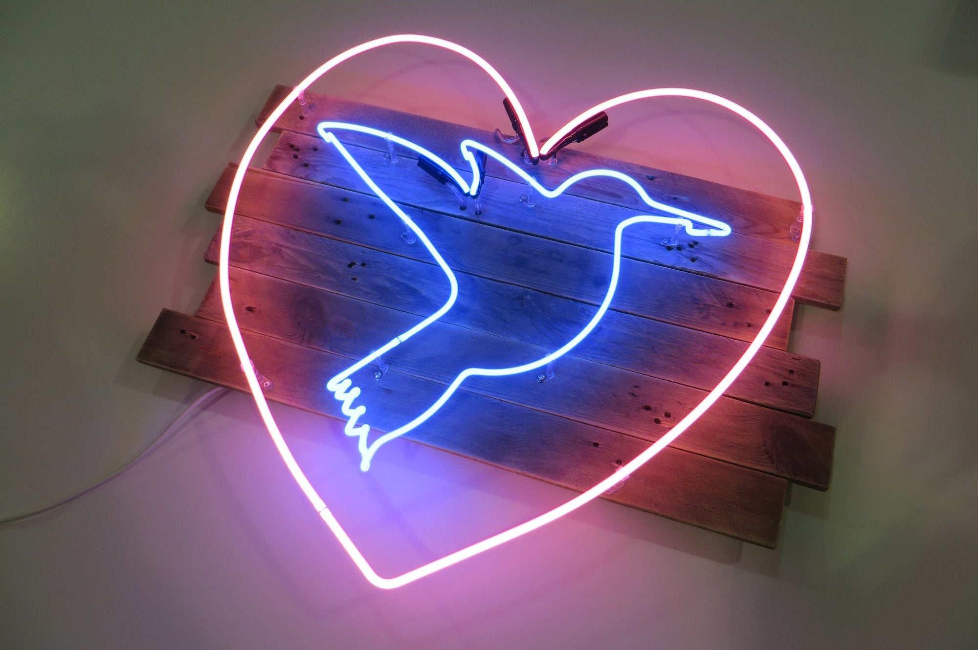 Neon Hummingbird Sign Hummingbird Neon Sign in Pink Heart | Neon Creations