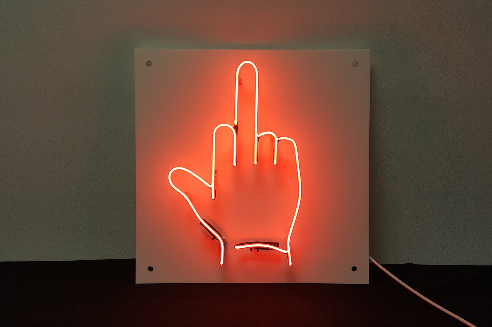 Middle Finger Neon Sign