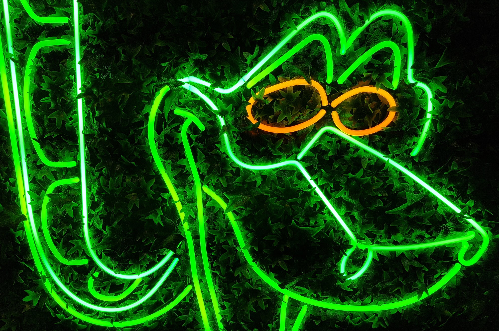 The Snake Neon Sign